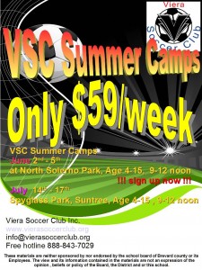 Summer Camp Flyer 2014 2